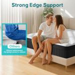 SeVietra Queen Hybrid Euro Top Mattress 30cm