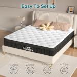 SeVietra Queen Hybrid Euro Top Mattress 30cm