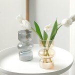 Gray 7-Inch Hydroponic Glass Flower Vases