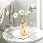 Gray 7-Inch Hydroponic Glass Flower Vases