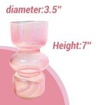 Pink Transparent Glass Hydroponic Vase - 7 Inch