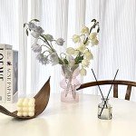 Pink Transparent Glass Hydroponic Vase - 7 Inch