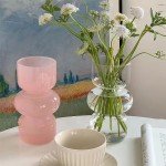 Pink Transparent Glass Hydroponic Vase - 7 Inch