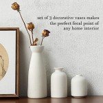 Set of 3 Matte White Nordic Ceramic Vases