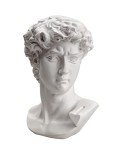 6-Inch Michelangelo David Bust Statue