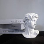 6-Inch Michelangelo David Bust Statue