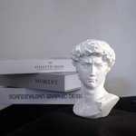 6-Inch Michelangelo David Bust Statue
