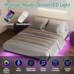 Queen Size Floating Bed Frame with LED Lights