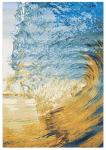 Tropical Wave Indoor/Outdoor Area Rug, Blue/Gold