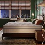 Gsleepee Gel Memory Foam Queen Mattress - 10