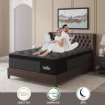 Duchess 34cm Double Memory Foam Hybrid Mattress