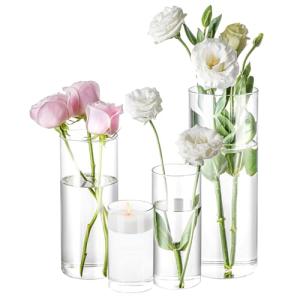 Set of 4 Clear Glass Cylinder Vases
