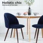 Velvet Dining Chairs Set of 2 - Navy