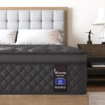 Viscountess Queen Medium Firm Euro Top Mattress