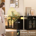 Dystler Black Sideboard Buffet with Storage & Lights