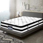 Giselle Queen Mattress with 5-Zone Pocket Springs