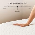 Ashley Chime 12" Queen Memory Foam Mattress