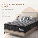 Duchess 34cm Hybrid Memory Foam Queen Mattress