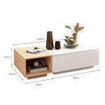 Sleek White & Oak Coffee Table with Storage Drawers