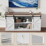 Farmhouse TV Stand with Sliding Barn Doors, 58
