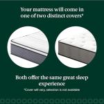 ZINUS 10 Inch Hybrid Mattress - Full Size