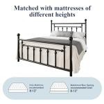 Victorian Style Queen Metal Bed Frame, Black