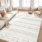 Soft Washable Area Rugs for Living Room and More