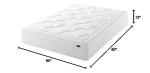 Zinus 12 Inch Queen Cloud Memory Foam Mattress