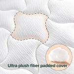 Zinus 12 Inch Queen Cloud Memory Foam Mattress