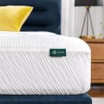 ZINUS 10-Inch Queen Memory Foam Mattress