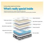 Giselle Queen Mattress with 5-Zone Pocket Springs