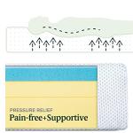 ZINUS 10 Inch Green Tea Memory Foam Mattress, Queen