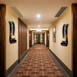 Antique Bronze Wall Sconce with Candle Holder, Set of 2