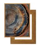Colorful Tree Ring Canvas Wall Art Print
