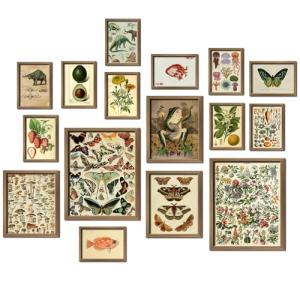 16 PCS Vintage Botanical Wall Art Set