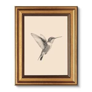 Vintage Gold Framed Hummingbird Wall Art Print