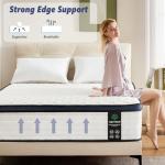 Amztree 12" Queen Mattress - Memory Foam & Coils