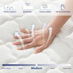 Amztree 12" Queen Mattress - Memory Foam & Coils
