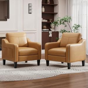 Set of 2 Mid-Century Modern Accent Chairs