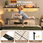 Wood Queen Bed Frame with Storage and LED Lights