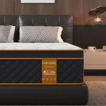 Qabefy 10 Inch Queen Memory Foam Hybrid Mattress