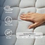 Qabefy 10 Inch Queen Memory Foam Hybrid Mattress