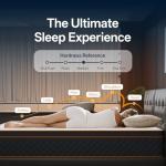 Qabefy 10 Inch Queen Memory Foam Hybrid Mattress