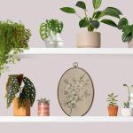 Vintage Floral Oval Wall Art for Home Decor