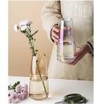 Modern Iridescent Glass Vase for Home Decor