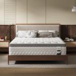 10-Inch Full Mattress with Lumbar Support