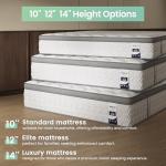 10-Inch Full Mattress with Lumbar Support