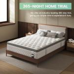 10-Inch Full Mattress with Lumbar Support
