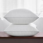 Oubonun Firm Fluffy 20x20 Throw Pillow Inserts