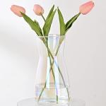 Iridescent Glass Flower Vases for Home Decor